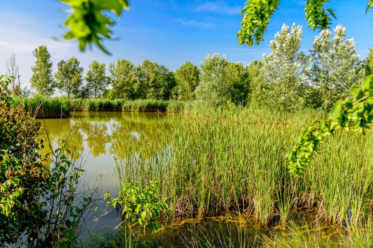 Agriturismo Tenuta Regina - Glamping Luxury Lodges And Apartments Palazzolo dello Stella Екстер'єр фото