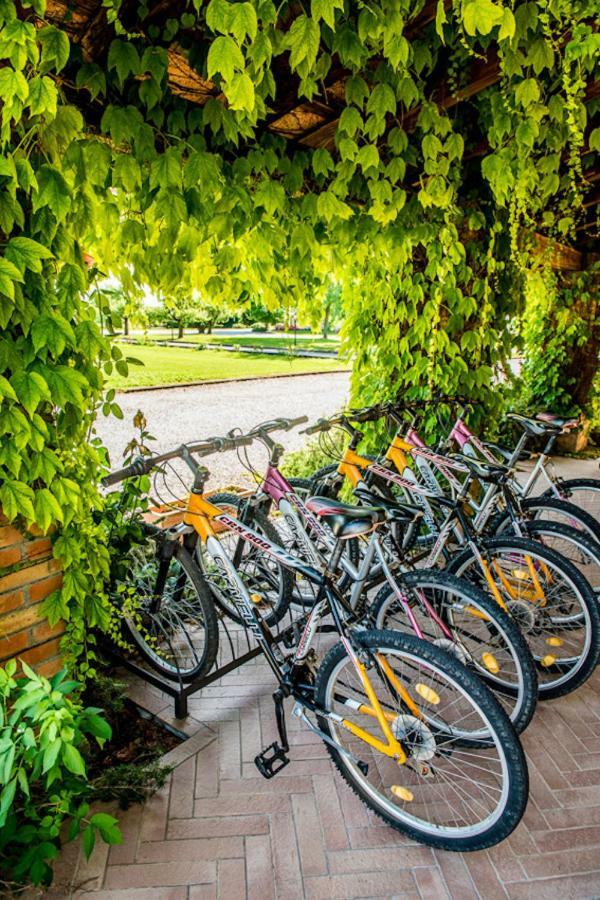Agriturismo Tenuta Regina - Glamping Luxury Lodges And Apartments Palazzolo dello Stella Екстер'єр фото